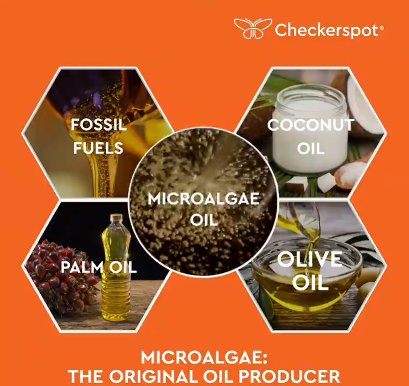 checkerspot-biotechnology-company-in-alameda-california